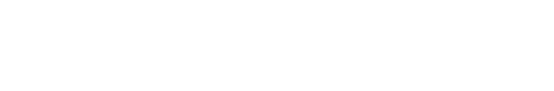 climate partner